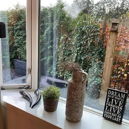 Op Boszicht Genieten De Rust & *
