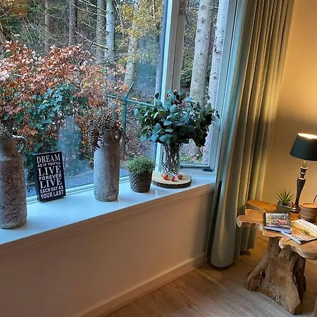 Alpstuga Op Boszicht Genieten De Rust & *