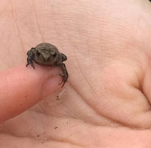 Op Boszicht Genieten De Rust & * Putten