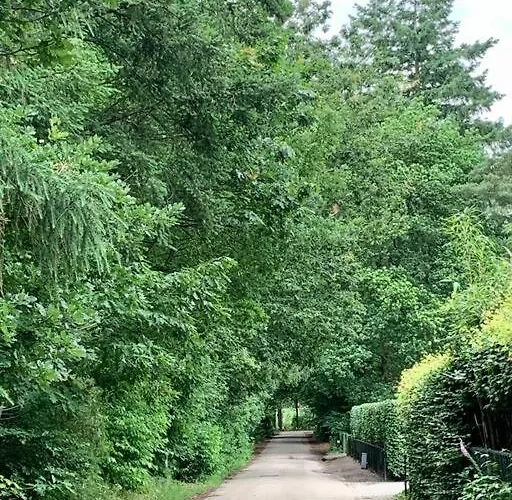 Op Boszicht Genieten De Rust & * Putten