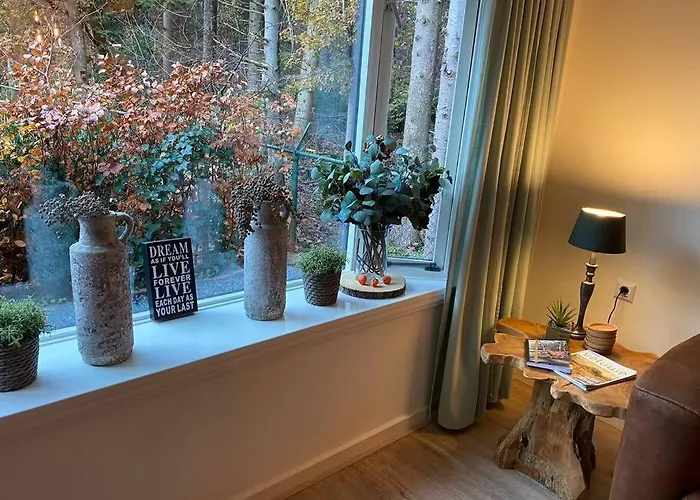 Chalet Op Boszicht Genieten De Rust & *