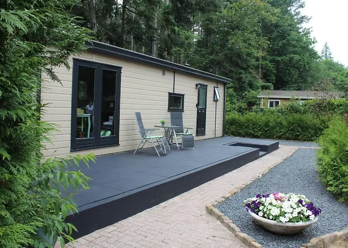 Op Boszicht Genieten De Rust & Chalet Putten