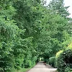 Op Boszicht Genieten De Rust & * Putten