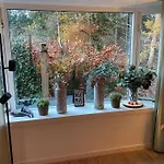 Op Boszicht Genieten De Rust &