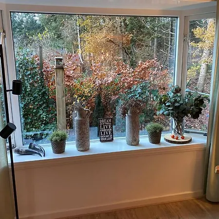 Op Boszicht Genieten De Rust &