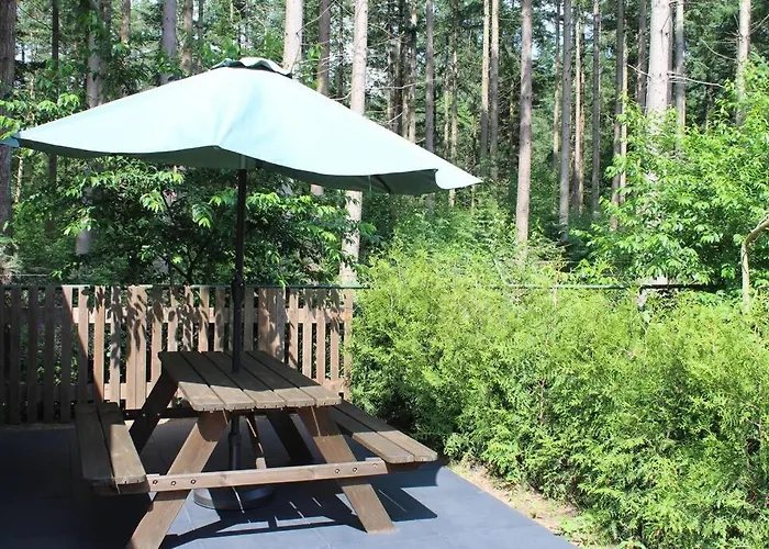 Chalet Op Boszicht Genieten De Rust & *